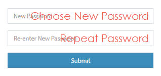 Choose New Password Form